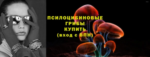 PSILOCYBIN Баксан